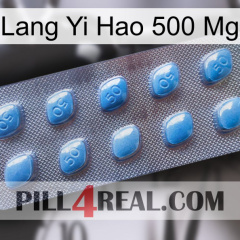 Lang Yi Hao 500 Mg viagra3